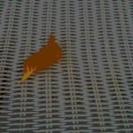 Leaf # 7 October 2011