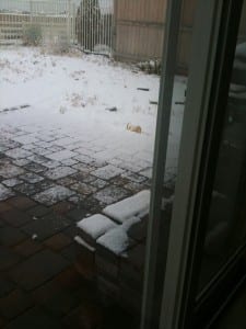Snow #3 2:28:12