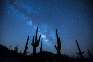 Night sky with cacti